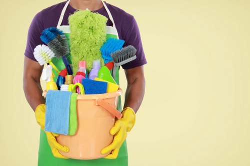 Cleaning tools used for deep cleaning around the home