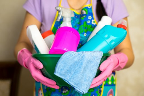 Regular cleaning in Acton Cleaner for a tidy living room