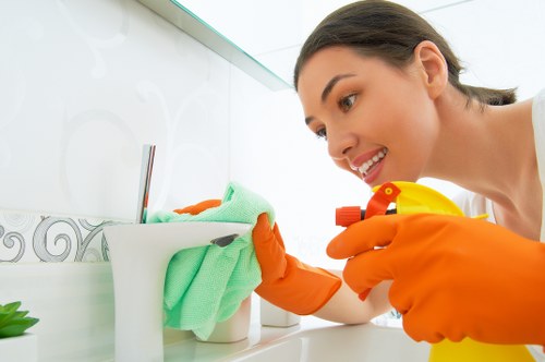 Domestic cleaning tools and supplies used in Acton homes
