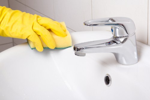 Bathroom descaling and sanitizing for move-out inspection