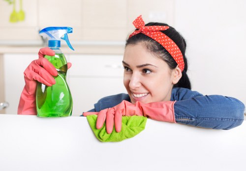 Routine cleaning tasks in an Acton Cleaner home
