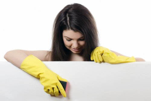 Detailed cleaning of empty living room before move in