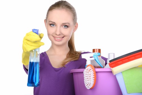 Professional house cleaning supplies ready for service