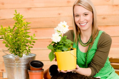 Acton commercial cleaning services